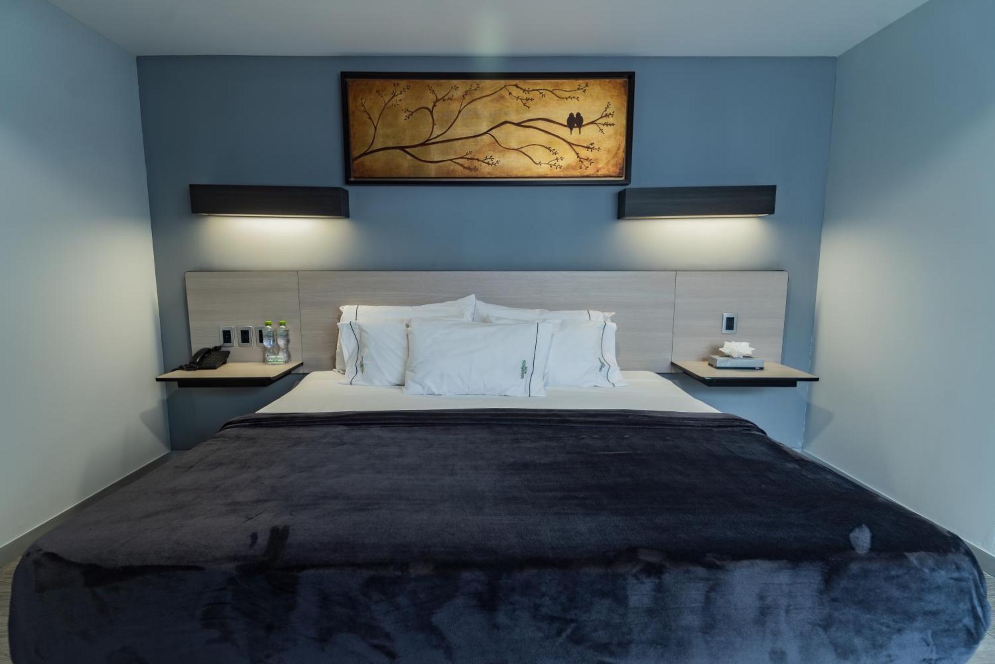 Hotel Lemon Green -Zona Expo Frente Al Centro De Convenciones Guadalajara Ngoại thất bức ảnh